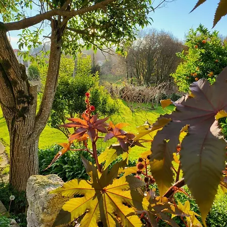 Boavista Vendégház