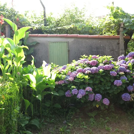 Vendégház Boavista 3*