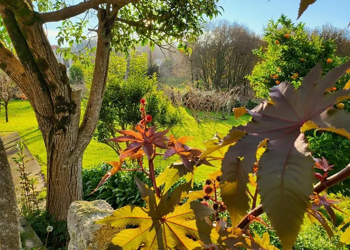 Boavista ゲストハウス